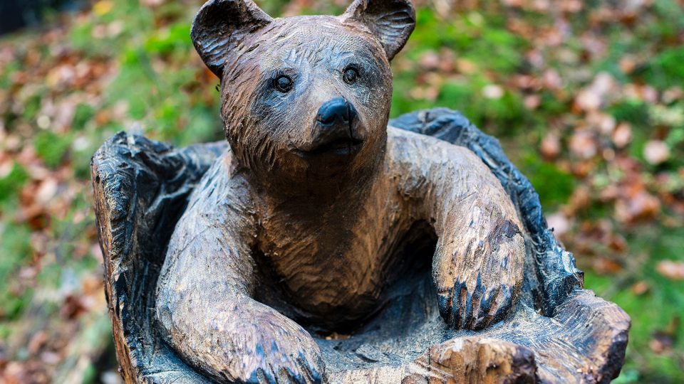 Medvídek, který je k vidění nedaleko Vysoké Lípy u filmové kulisy „Uhlířova chaloupka“