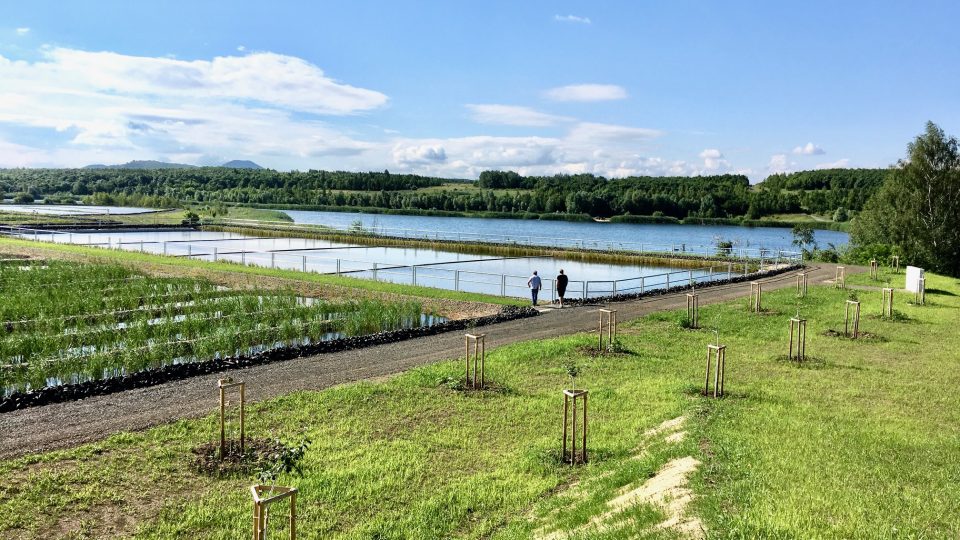 Unikátní bio čistička vody vznikla u Marinánských Radčic na Mostecku