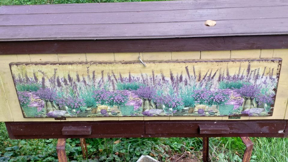 Typ úlu | foto: Stanislava Brádlová, Český rozhlas Typ úlu