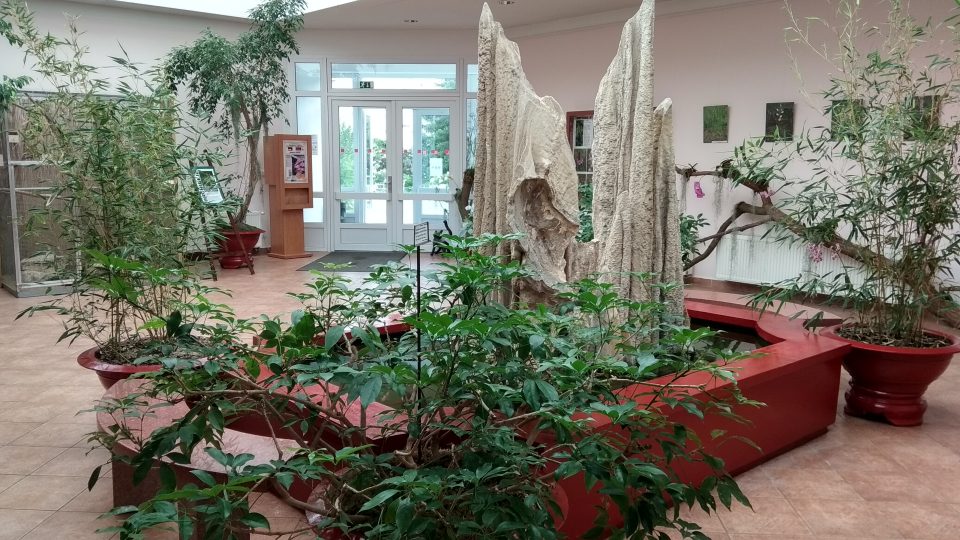 Botanická zahrada v Teplicích opět otevřela skleníky