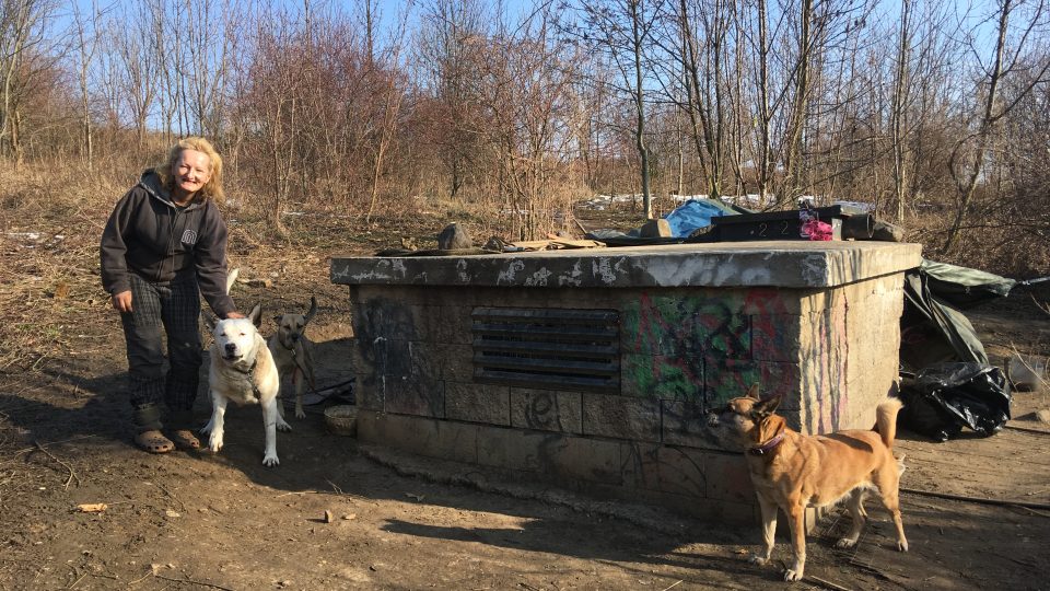 Do azylového domu paní Jitka se psy nemůže. Město jí chce pomoci půjčením tzv. iglú