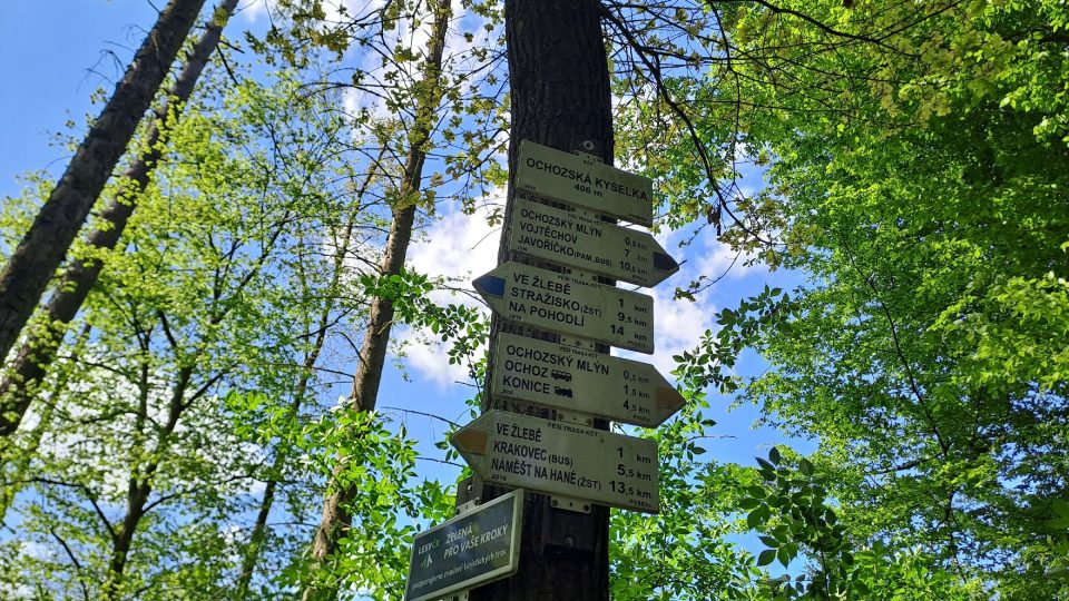 K ochozské kyselce je možné dojít z různých směrů | foto: Dita Vojnarová, Český rozhlas K ochozské kyselce je možné dojít z různých směrů