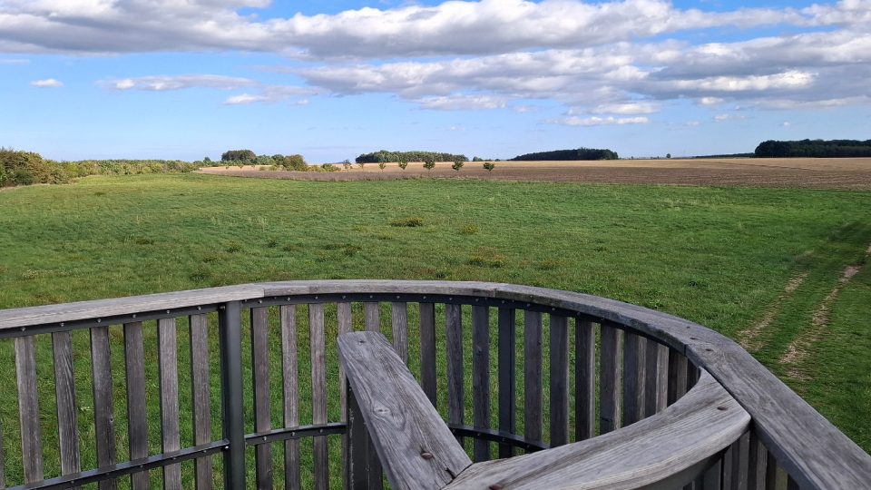 Pohled z rozhledny směrem na táhlé návrší Radovič | foto: Markéta Vejvodová, Český rozhlas Pohled z rozhledny směrem na táhlé návrší Radovič