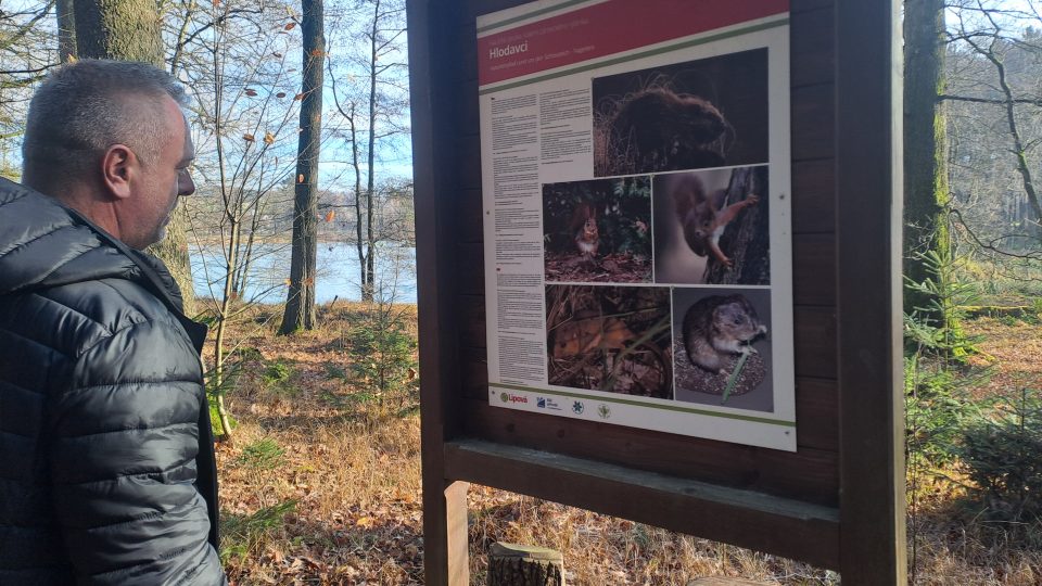Dědova studánka, Lipová