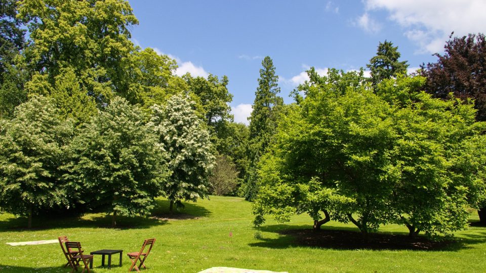 V zámeckém parku je možné si udělat piknik | foto: Jaroslav Hoření, Český rozhlas V zámeckém parku je možné si udělat piknik