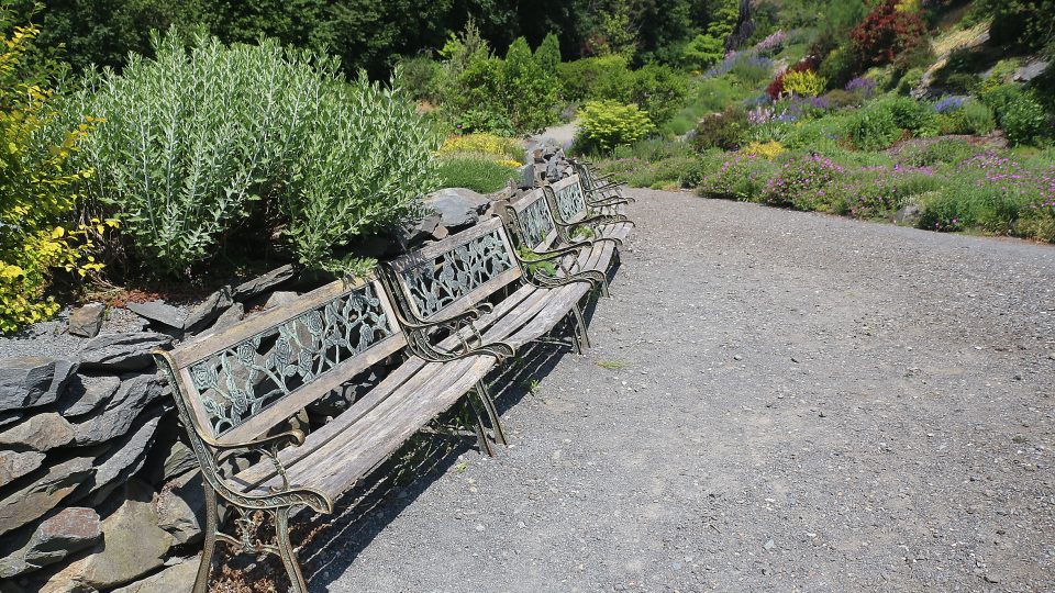 Areál arboreta doplňují i lavičky | foto: Aleš Spurný, Český rozhlas Areál arboreta doplňují i lavičky