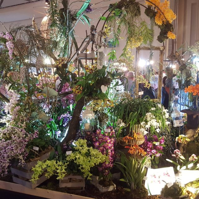 Dresdner Ostern | foto: Tomáš Kopecký,  Český rozhlas