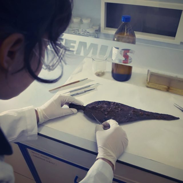 Moderní metody mají v archeologii své místo  (ilustrační foto) | foto: Archeologický ústav AV ČR