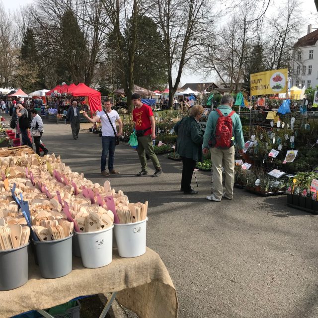 Tržnice Zahrady Čech | foto: Milan Král,  Český rozhlas