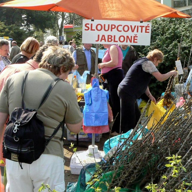 Tržnice zahrady Čech | foto: Miroslav Zimmer