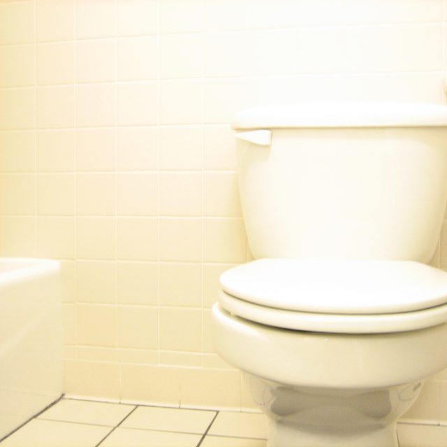 Záchod  (ilustr. obr.) | foto: Fotobanka stock.xchng