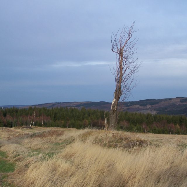 Krušné hory - Loučná  (ilustr. foto) | foto: David Hertl,  Český rozhlas