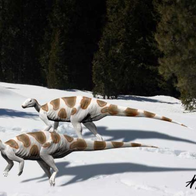 Dinosaurus Trinisaura santamartaensis. Jeho fosilní pozůstatky byly nalezeny na ostrově Jamese Rosse v Antarktidě. | foto: Nobu Tamura,  lic. CC-BY 3.0