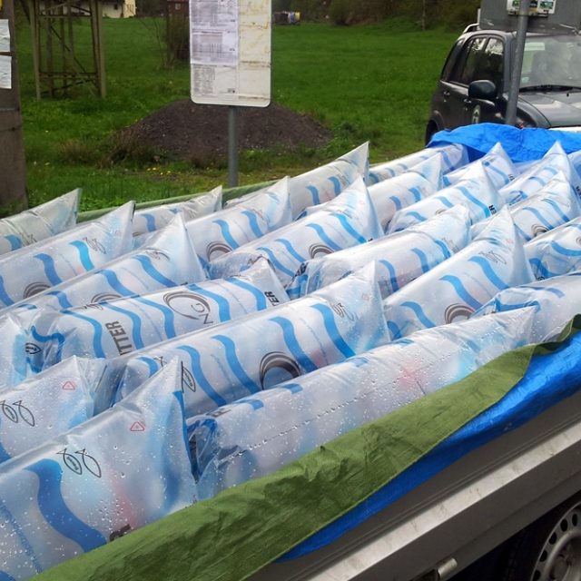 Vypouštění lososů | foto: Jan Bachorík,  Český rozhlas