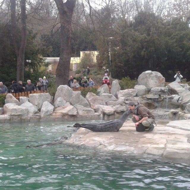Zoo Ústí nad Labem  (ilustr. obr.) | foto: Gabriela Hauptvogelová,  Český rozhlas