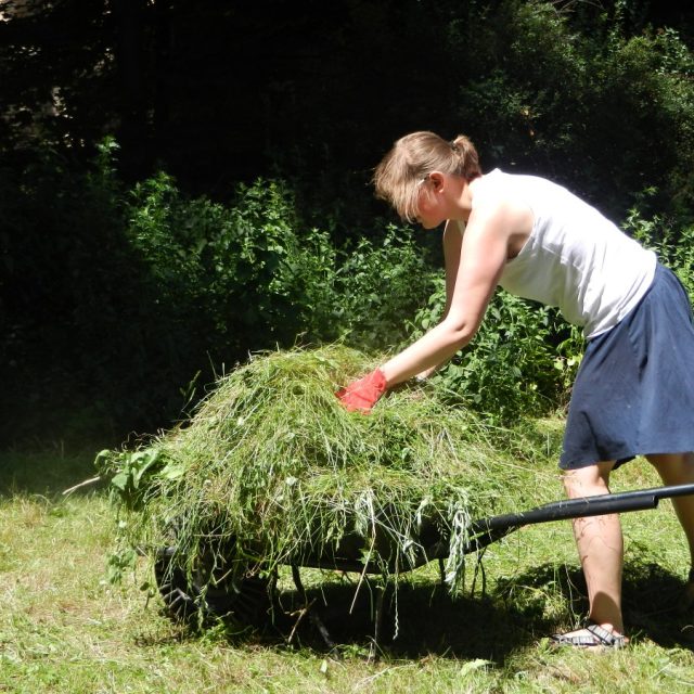 Práce v komunitní zahradě  (ilustr. obr.) | foto: Alena Vykydalová,  Český rozhlas
