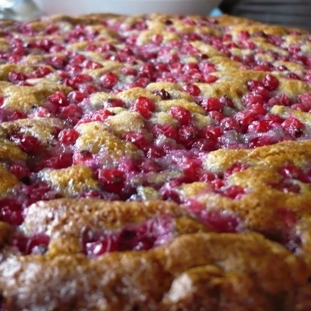 Bublanina  (ilustrační foto) | foto:  Sarah