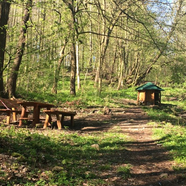 Zrekonstruovaná studánka na Popovickém vrchu | foto: Daniela Pilařová,  Český rozhlas