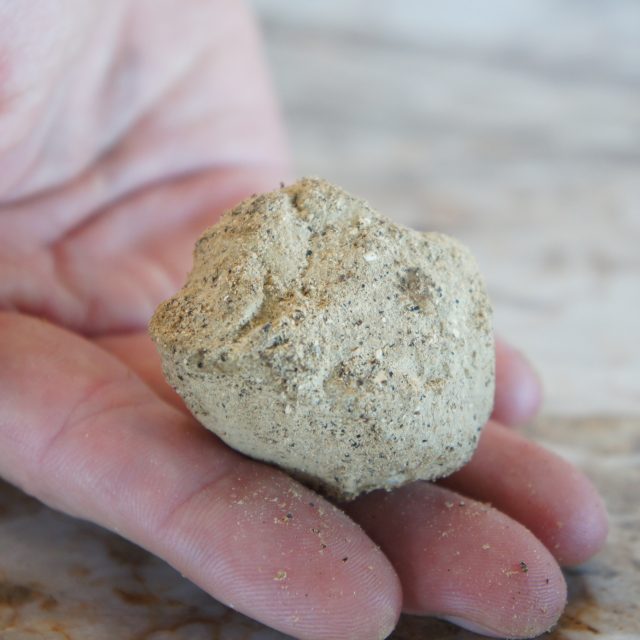 Loštický lanýž | foto: Patrik Rozehnal,  Český rozhlas