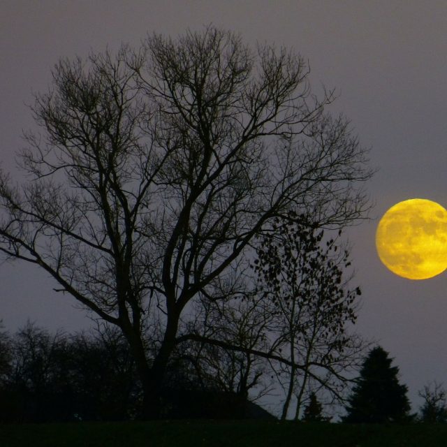 Měsíční úplněk | foto: CC0 Public domain,  Fotobanka Pixabay,   LoggaWiggler