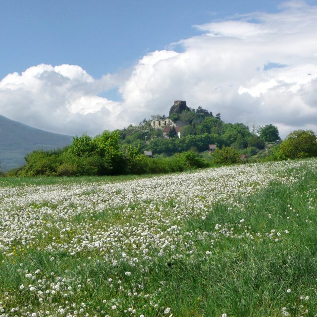 Zřícenina hradu Kamýk u Litoměřic | foto: Dagmar Cestrová,  Český rozhlas