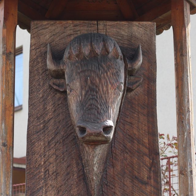 Zubr na Cedulovém náměstí | foto: Irena Šarounová,  Český rozhlas