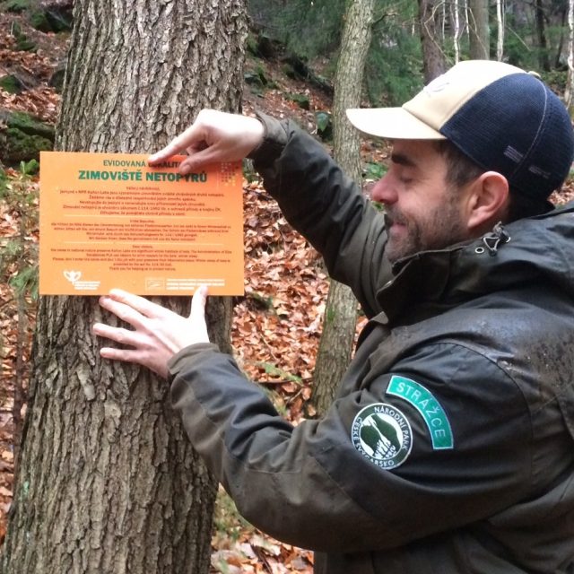 Strážce národního parku při práci  (ilustr. obr.) | foto: Daniela Pilařová,  Český rozhlas