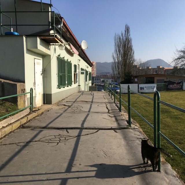 Fotbalisté v Neštěmicích se dočkají rekonstrukce zázemí na stadionu | foto: Gabriela Hauptvogelová,  Český rozhlas