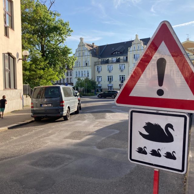 Město Děčín nechalo postavit ochranný plot kolem hnízdiště labutí na Zámeckém rybníku | foto: Daniela Pilařová,  Český rozhlas