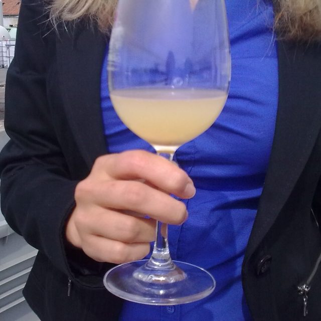 Sklenice burčáku | foto: Vlasta Gajdošíková,  Český rozhlas