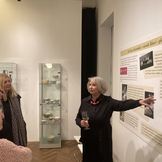 Ústecké muzeum vystavuje bruselskou keramiku z Jílového u Děčína | foto: Gabriela Hauptvogelová,  Český rozhlas