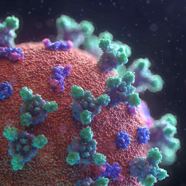 Koronavirus | foto:  Fusion Medical Animation,  Fotobanka Unsplash