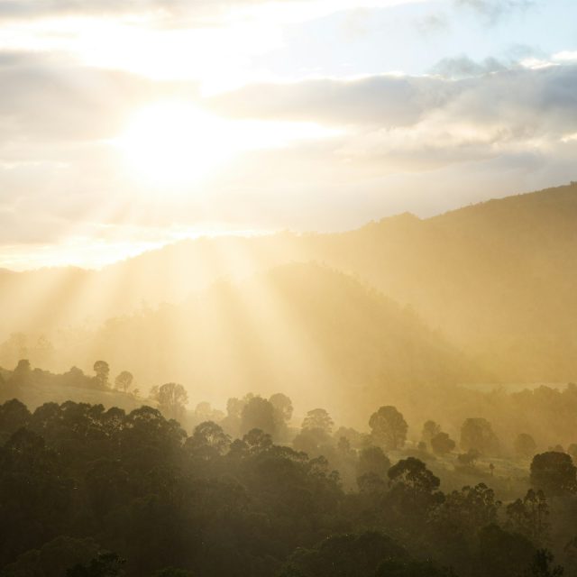 Sluneční paprsky | foto: Unsplash,  Licence Unsplash