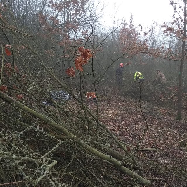 V Žiželicích začala příprava na stavbu přemostění | foto: Jana Vitásková,  Český rozhlas
