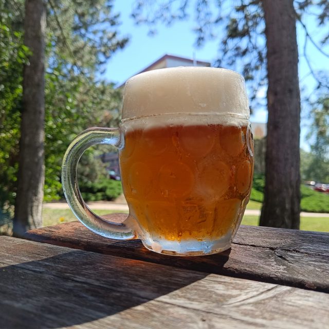 Nad půllitrem piva zaznělo v minulosti mnoho silných slov - a platí to dodnes. | foto: Dagmar Cestrová,  Český rozhlas