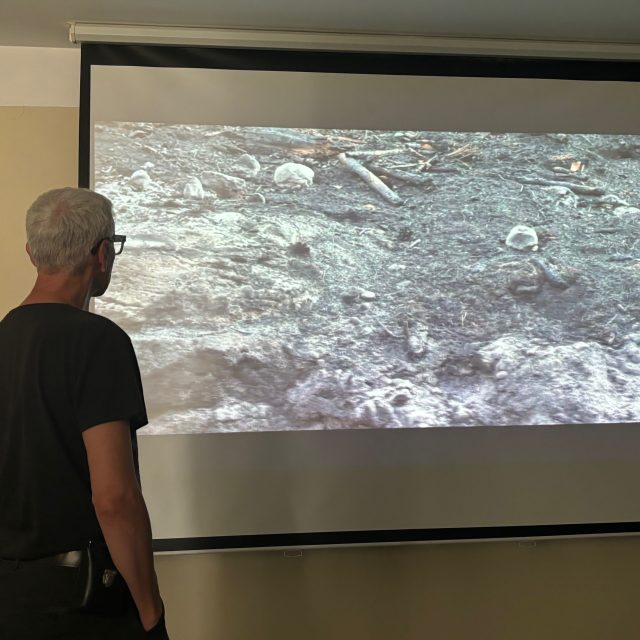 Výstava uměleckých děl,  která se věnují požáru v Národním parku České Švýcarsko | foto: Daniela Pilařová,  Český rozhlas