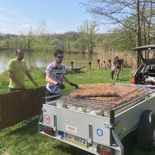 Ochránci přírody a strážci národního parku České Švýcarsko instalují na pět rybníků v Ústeckém kraji plovoucí ostrovy. Mají pomoci ptákům s nerušeným hnízděním | foto: Daniela Pilařová,  Český rozhlas
