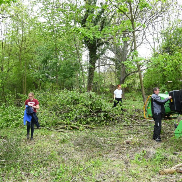 Starý německý hřbitov v Českém Bukově u Povrlů zachraňují členové spolku Omnium | foto: Jakub Děd,  Omnium z.s.
