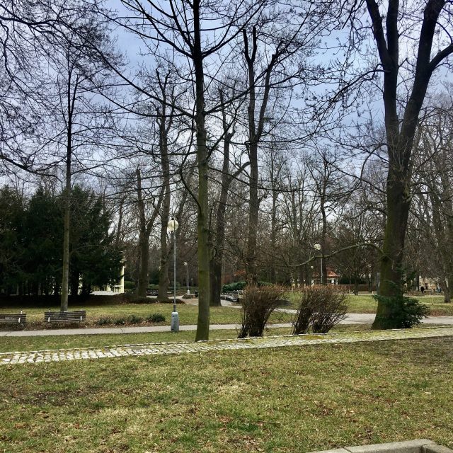 Městský park v Chomutově | foto: Jan Beneš,  Český rozhlas