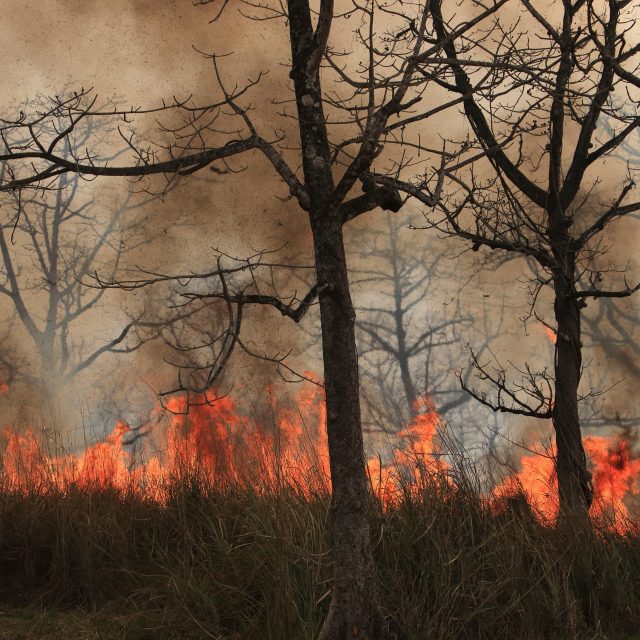 Požár,  ilustrační foto | foto: Profimedia