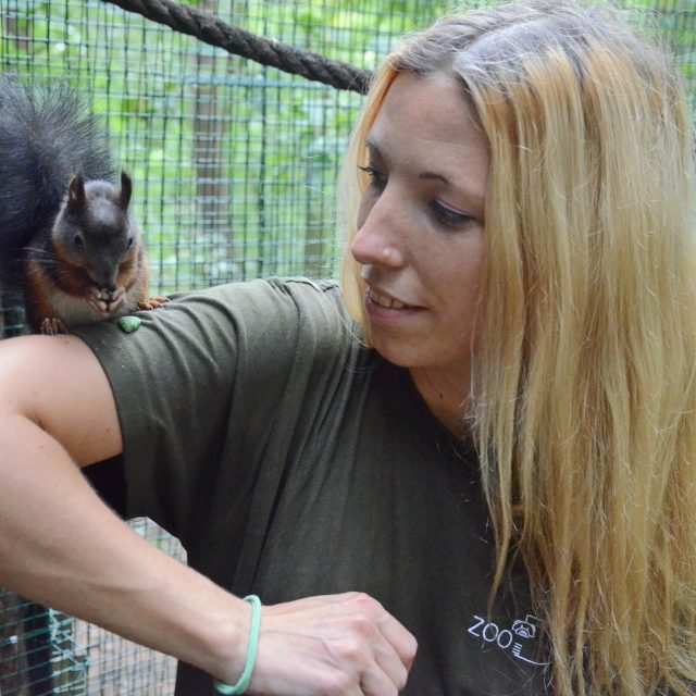 Jedna z veverek s chovatelkou Klárou Křížkovou | foto: Zoo Děčín