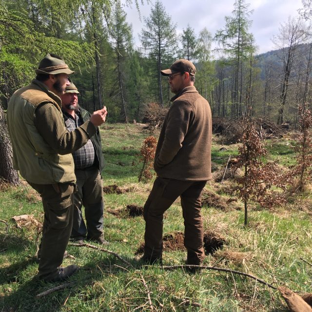 Polámaný strom  (ilustrační fotografie) | foto: Jan Beneš,  Český rozhlas
