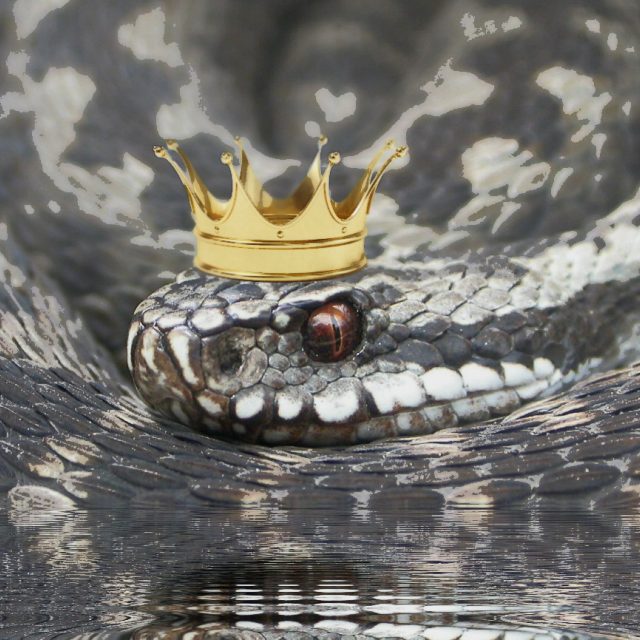 Hadí královna - ilustrace k pověsti | foto: Dagmar Cestrová,  Český rozhlas