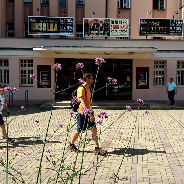 Do Teplic se po tříleté pauze vrátila Evropská hudební akademie. Zahraniční studenti nazkoušejí dvě opery | foto: Jana Vitásková,  Český rozhlas