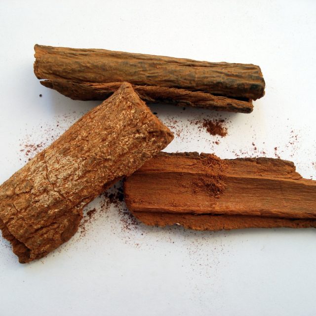 Dřevo chinovníku | foto: Fotobanka PxHere  (CC0 Public Domain)