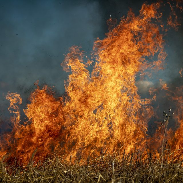 Oheň,  pálení trávy,  požár | foto: Pixabay,  Licence Pixabay