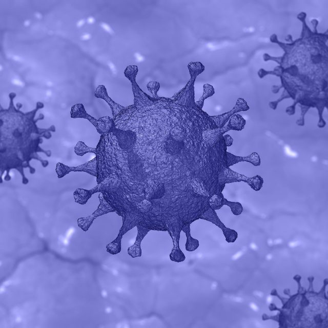 Koronavirus | foto: Pete Linforth,  Pixabay,  CC0 1.0