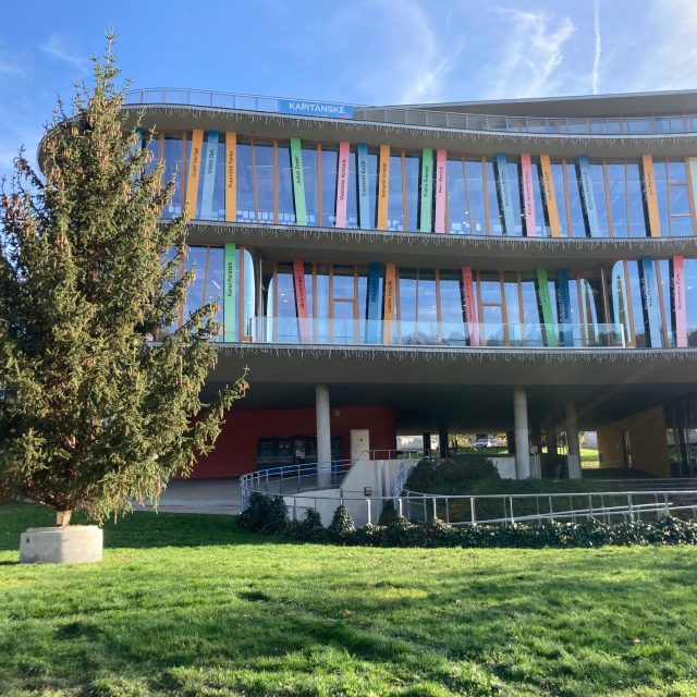 V Děčíně začalo rozmísťování vánočních stromů | foto: Daniela Pilařová,  Český rozhlas