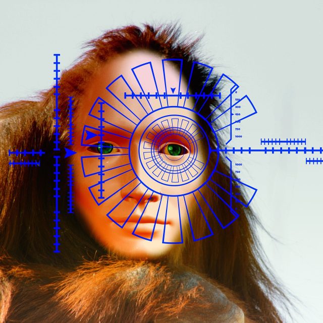 Evoluce  (ilustrační obrázek) | foto: Fotobanka Pixabay