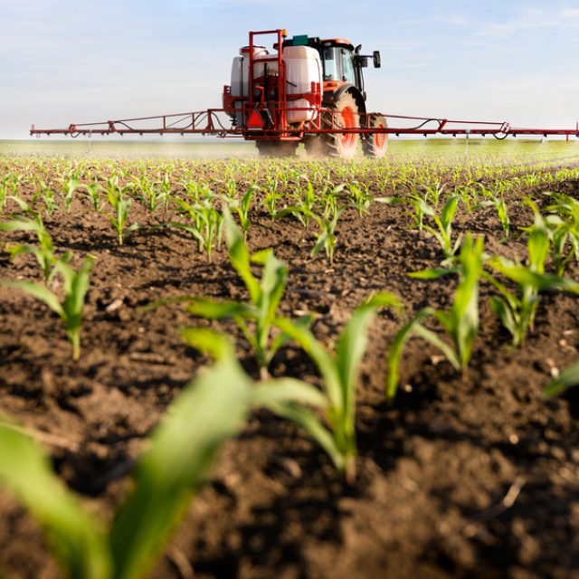 Traktor na poli  (ilustr. foto) | foto: Shutterstock